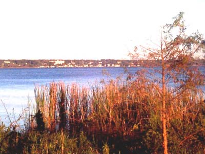  Lake Dora